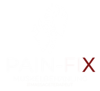 Pain-Fix Logga