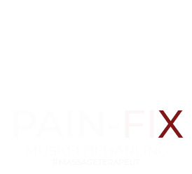 Pain-Fix Logga